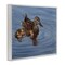 Stupell Industries Duck Family Ripples Framed Giclee Wall Art Design by Valerie Rogers